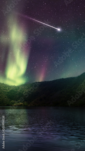 Картината върху платно A stunning night landscape featuring the green and purple aurora borealis and a
