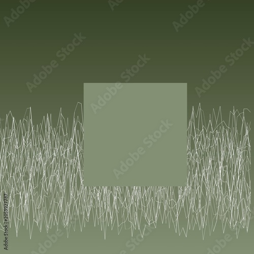 geometric topographic map illustration