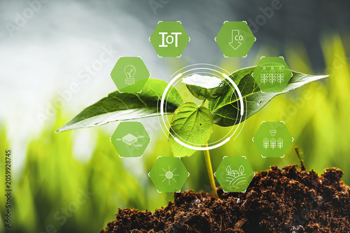 Quadro su tela Smart farm technology enhances plant growth using IoT and data management method