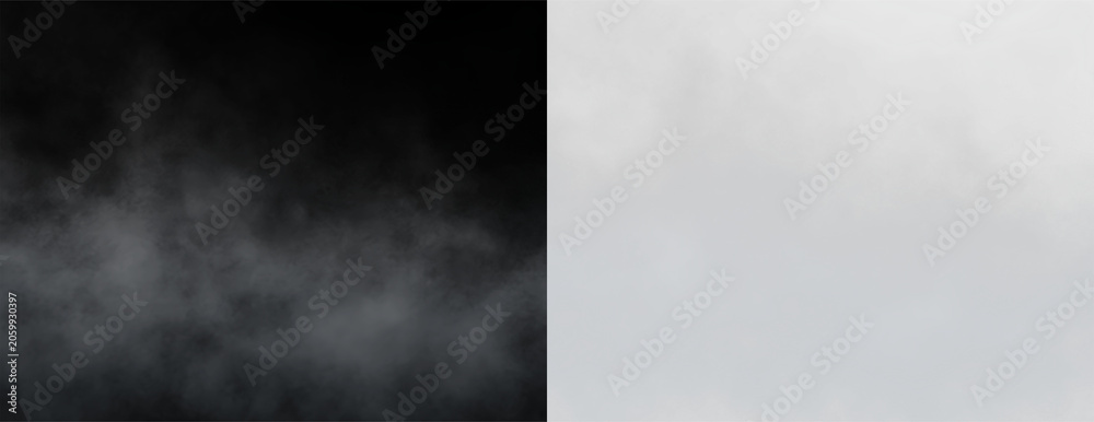Obraz premium Fog covers the trees in the forest during early morning hours near a quiet lake in autumn months of the year, on a transparent background