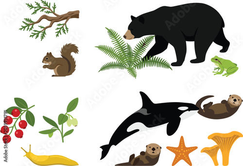 Quadro su tela Wildlife and Nature Vector Collection Featuring Black Bear, Orca, Sea Otters, Fr