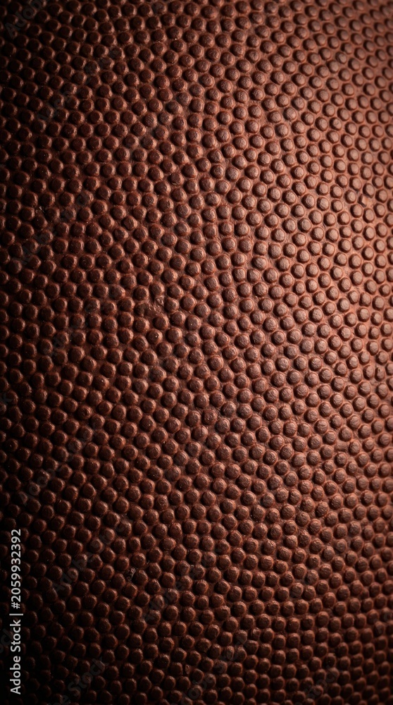 Fototapeta premium Football Texture