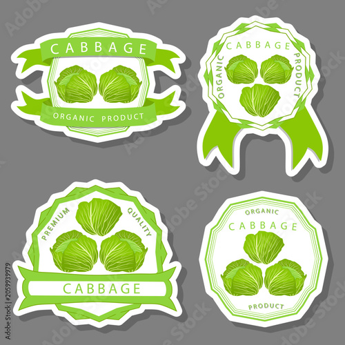 Set tasty natural eco product vegetable cabbage