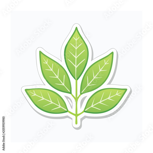 Green leaf icon with transparent background