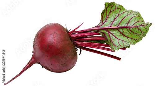 Tableau sur toile Fresh red beet with green leaves and red stems