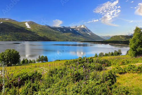 Summer at the lake Gjevillvatnet, Norway