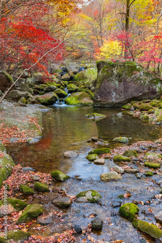 Boulders in the stream of the Laobiangou scenic spot of Benxi, China