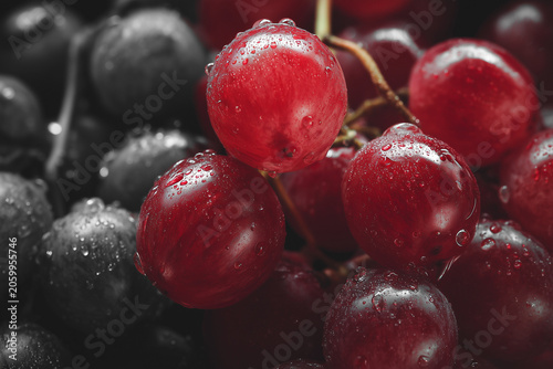 Red Grapes Close Up Monochrome Fine Art Still Life Photography