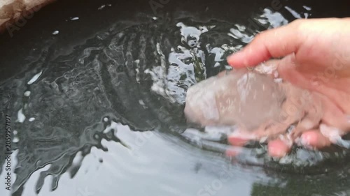 Adding alum to water for removes the suspended clay particles from water.