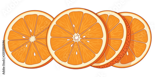Obraz na płótnie Fresh orange slices arranged in a row vector illustration with illustration isol