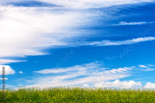Canvastavla Amazing summer nature landscape