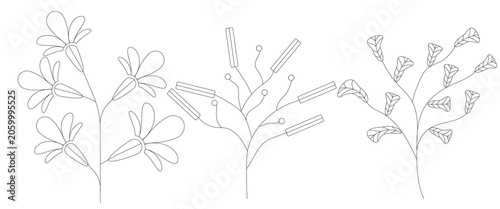 Botanical Line Art Element Set Premium Hand Drawn Wildflower Leaf Branch Kit Minimalist Floral Doodle Silhouette Isolated On White Background Vector