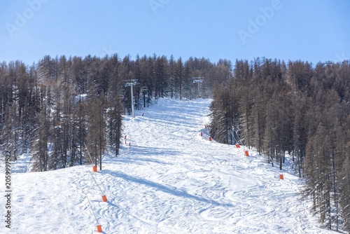 Winter ski slope surrounded by snow-covered trees