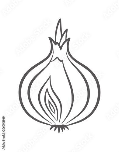 Photos Stylized line of a halved onion with visible layers food vegetable ingredient co