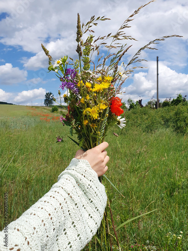 A woman's hand holds a bright bouquet of wildflowers against the background of a green meadow