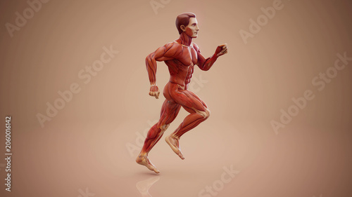Fotografia Conceptual 3D illustration of an anatomical muscle man running