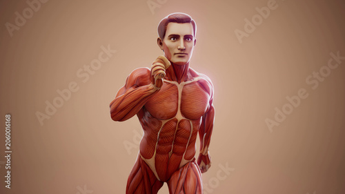 Foto Conceptual 3D illustration of an anatomical muscle man running