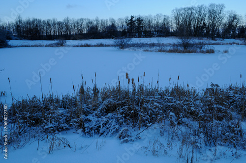 Snow covered winter scene along a pond in upstate, New York