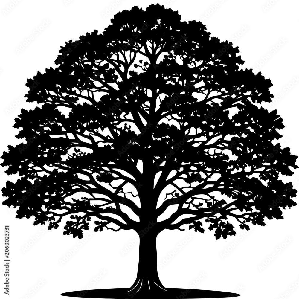 Fototapeta premium Large Oak Tree Silhouette Vector - Isolated Old Tree on Grass Graphic