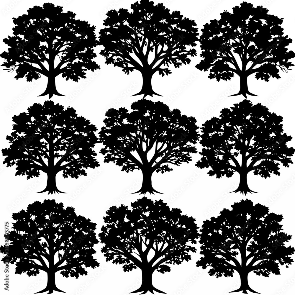Fototapeta premium Tree Silhouette Vector Set - Deciduous and Oak Trees Collection Graphic