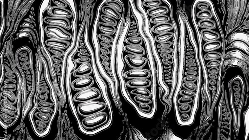 Abstract black and white organic pattern animation