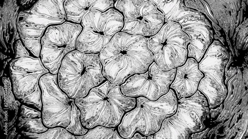 Abstract black and white paint pouring creating cellular structures