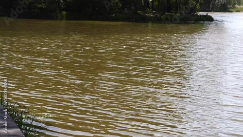 4K Moving Murky Green-Brown Water Ripples Sunlight Shimmering Nature Lake Pond Surface Texture