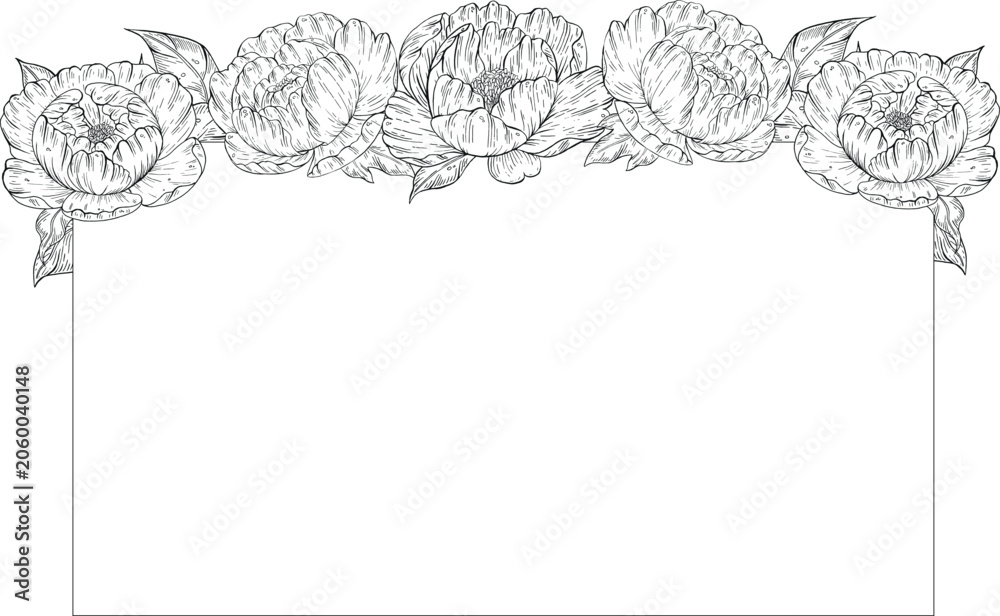 Obraz premium Hand drawn peony flower collection in vintage engraving style. Botanical ink illustration, rustic flowers. Good for cosmetics, medicine, treating, aromatherapy, nursing, package design, field bouquet
