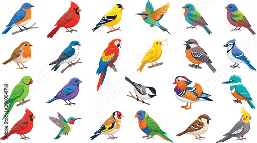Colorful Bird Vector Character Icon Set with Exotic and Backyard Birds Like Cardinal Parrot Blue Jay Hummingbird and Kingfisher for Nature Graphic Designs