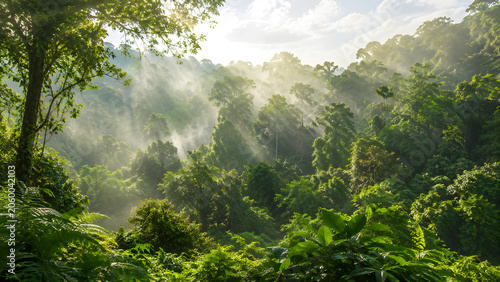 Sunbeams filtering through mist in a lush tropical rainforest morning