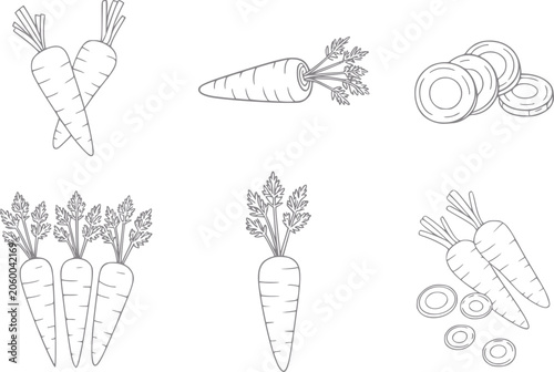 Canvastavla Collection of stylized line of carrots in various forms