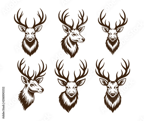 Valokuva Majestic Stag Portraits: A collection of six intricately drawn portraits showcasing the regal head of a stag, each with impressive antlers and a dignified expression