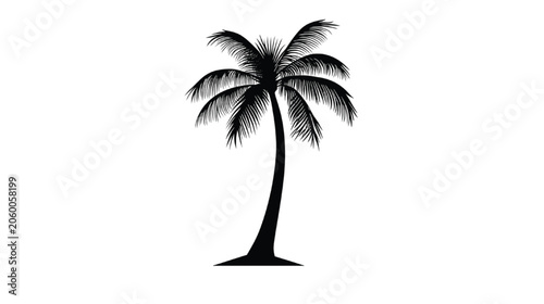 Palm tree silhouette stands as a solitary icon representing tropical vacations and relaxing island getaways, offering a clean aesthetic that is ideal for travel marketing and summer design projects.