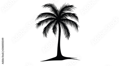 Palm tree silhouette stands as a solitary botanical element on a stark white backdrop.