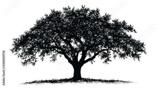 Oak tree silhouette stands prominently against a clean white background to provide a classic representation of nature and botanical growth in a simplified graphic style.