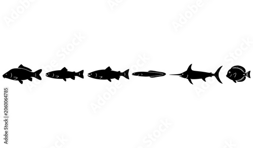 Εκτύπωση καμβά Fish evolution silhouette series from primitive to modern species