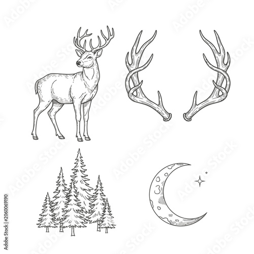 Hand drawn line art illustration of deer antlers pine forest and crescent moon