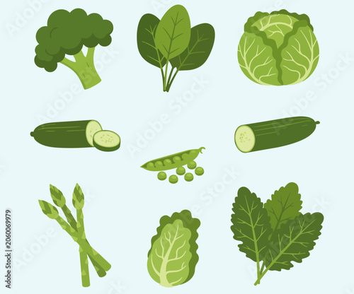 Fresh green vegetable vector set