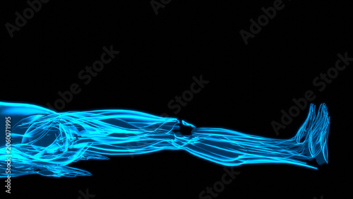 Tableau sur toile Hologram Muscle Closeup Supine Bilateral Knee Extension Scan