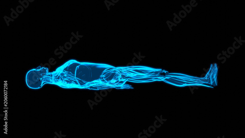 Fotografía Hologram Muscle Profile Supine Bilateral Knee Extension HUD