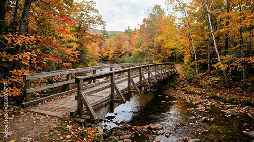 Picturesque Wooden Footbridge Crossing a Serene Stream Surrounded by Vibrant Autumn Foliage in a Calm Forest Landscape