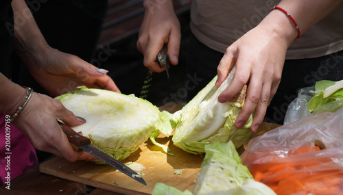two women cutting a big cabbage together, vegetables, cooking togeher