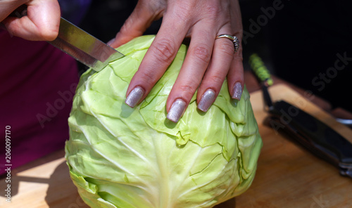 woman hands holding  and cutting raw cabbage on wooden cutting board