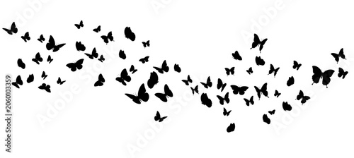 Canvas Print Black butterfly silhouettes in various flying poses