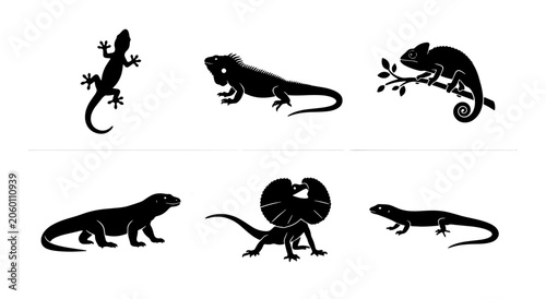 Foto Set of Six Black Silhouette Reptile Icons, Lizard and Chameleon Vector Graphics,