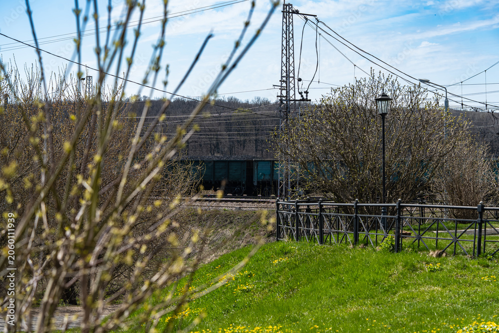 Fototapeta premium Freight train moves through the landscape, partially hidden by budding trees with a bright green foreground. Railway lines and infrastructure are visible, creating a dynamic scene.