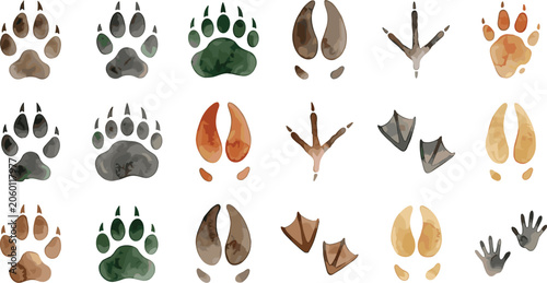 Tableau sur toile Animal footprint collection featuring paw prints, hoof tracks, bird footprints a