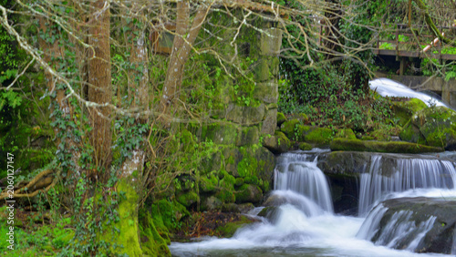 Rapids and waterfalls caused by heavy winter rains. Walls covered in moss and tree branches covered in lichen due to the damp.