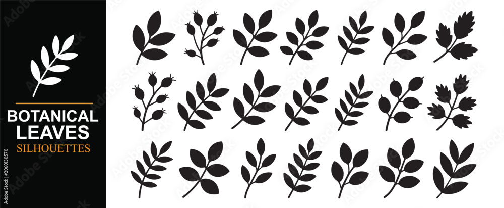 Fototapeta premium Black Botanical Leaf Silhouettes Pack with Decorative Plant Symbols