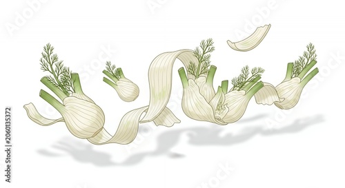 Levitating Fresh Fennel Slices and Green Bulbs with Leaves Isolated on White Background for Organic Food Concept